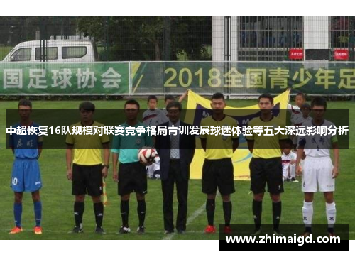 中超恢复16队规模对联赛竞争格局青训发展球迷体验等五大深远影响分析 中超恢复16队规模对联赛竞争格局青训发展球迷体验等五大深远影响分析