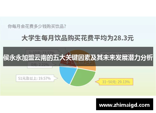 侯永永加盟云南的五大关键因素及其未来发展潜力分析