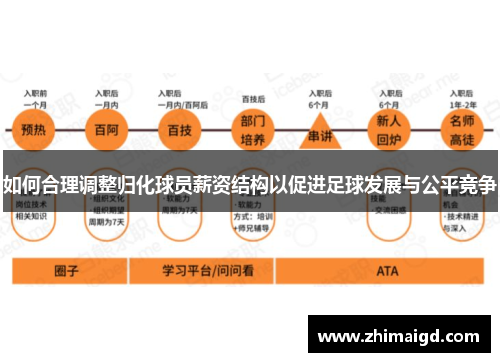 如何合理调整归化球员薪资结构以促进足球发展与公平竞争
