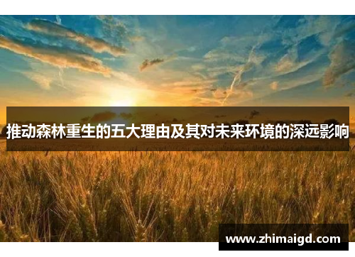 推动森林重生的五大理由及其对未来环境的深远影响